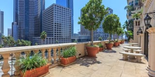 The Piero Gallery 81