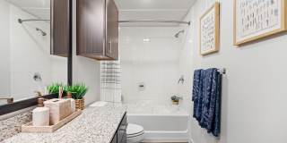 Water Oak Gallery 10