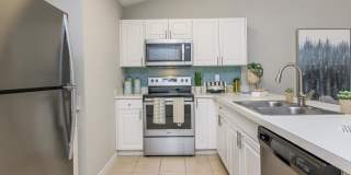 Ariel Springs Gallery 44