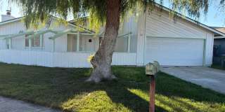 Vogt-1519 St. James Gallery 1