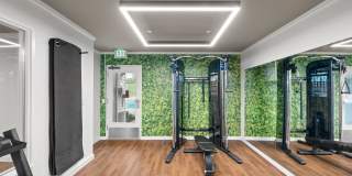 Garden Park Gallery 12