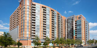 The Veridian Gallery 69