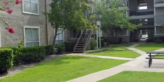 Walden Pond Gallery 12