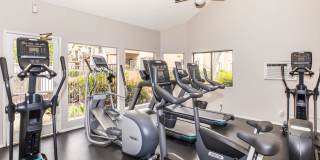 Mountain Springs Gallery 7