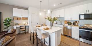 Emblem Ravine Gallery 26