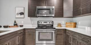 Kinsley Forest Gallery 3