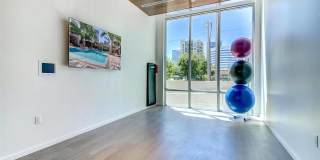 Pearl at Flagler Village Gallery 24