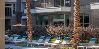 Bellrock Summer Street Gallery 11