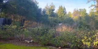 Spacious Ground-Floor 3BD/2BA Condo in Prime Scotts Valley Location Gallery 21