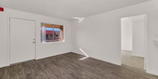 Urban Walk Gallery 16