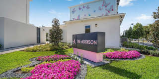 Addison in Palmetto Bay Gallery 33