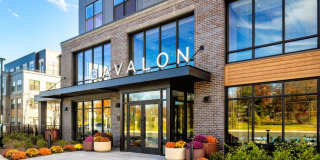 Avalon Parsippany Gallery 54