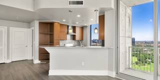 Allure Hermann Park Gallery 80