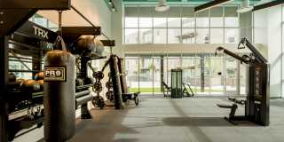 Silva Los Angeles Gallery 7