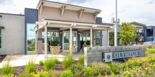 Olympus at Daybreak Gallery 32