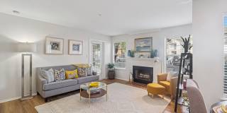 Christina Mill Gallery 4