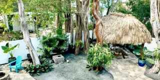 106 Mangrove Avenue Gallery 9