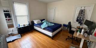 Gorgeous, Affordable and Student Friendly Apartment Near T!   Perfect for BU students on a budget Gallery 4