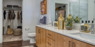 Lucent Scottsdale Gallery 15