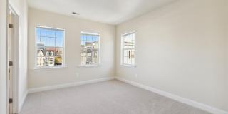 67 LINDEN Place Gallery 17