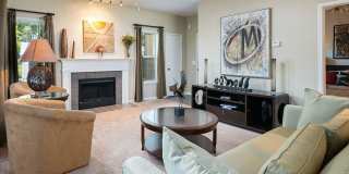 The Falls and Woods of Hoover Gallery 49