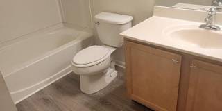 8486 Putnam Court Gallery 12