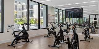 Soleste Seaside Gallery 9