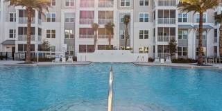 Primrose at Santa Rosa Beach Gallery 63