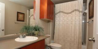 12007 N Lamar Blvd, #1190 Gallery 1