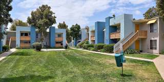Mariposa Gallery 5