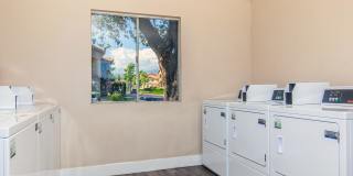 Club Pacifica Gallery 25