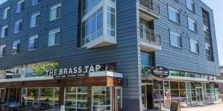 The Fitzgerald Gallery 11