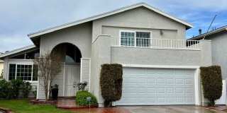 3571 Carnation Gallery 1