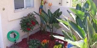 25182 Via Catalina Gallery 6