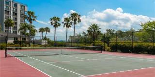 1401 GULF BOULEVARD Gallery 31