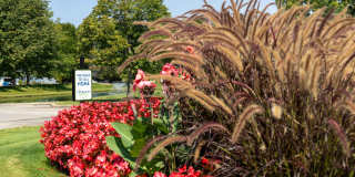 Terraces on the Green Gallery 6