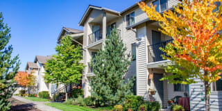 Palermo at Lakeland Gallery 16