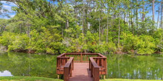 1224 Deerwood Drive Gallery 9