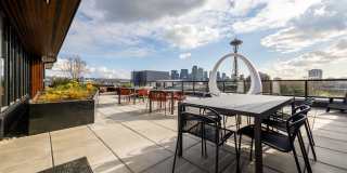 Center Steps Center Steps Gallery 7