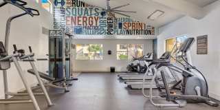 Alterra Apartments Gallery 15