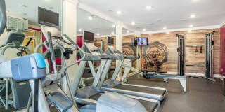 The Exchange Gallery 12