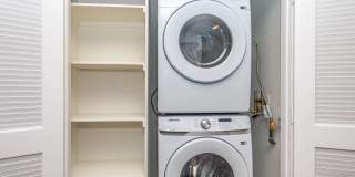 Vineyards Gallery 124