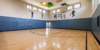 The Seasons Gallery 19