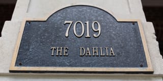 The Dahlia Gallery 32