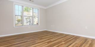 Emerson at Cherry Lane Gallery 32