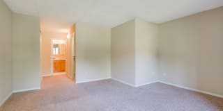 The Plaza Gallery 18