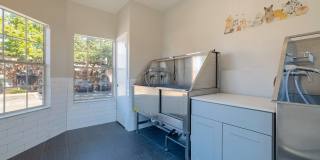 Wray North Dallas Gallery 34