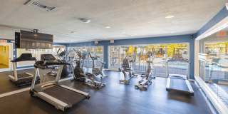 Shoreline Pointe Apartments Gallery 5