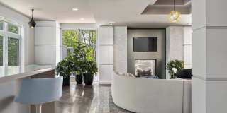 Deco Gallery 21