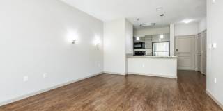 RIZE at Winter Springs Gallery 61